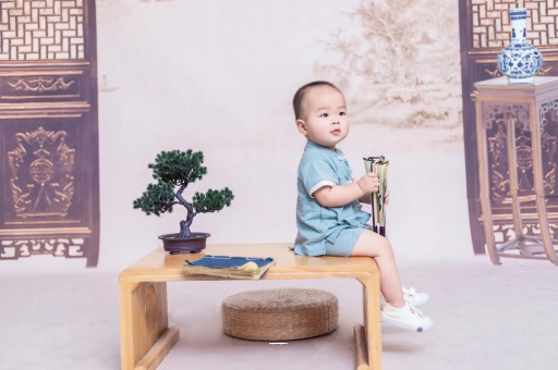 清镇可爱的企鹅宝宝